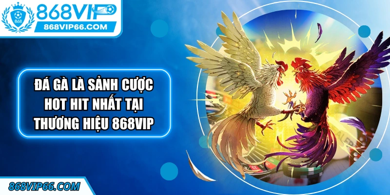 Đá gà là sảnh cược hot hit nhất tại thương hiệu 868VIP