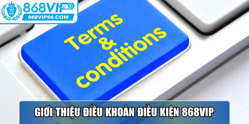 Giới thiệu điều khoản điều kiện 868VIP