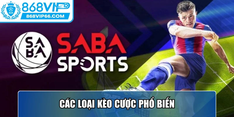 Các loại kèo cược phổ biến, được yêu thích trên SABA thể thao